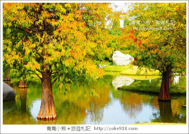 雲林落羽松景點》虎尾青埔落羽松.水池小山丘~小而美的園區好好拍 @青青小熊*旅遊札記 雲林落羽松景點》虎尾青埔落羽松.水池小山丘~小而美的園區好好拍 @青青小熊*旅遊札記