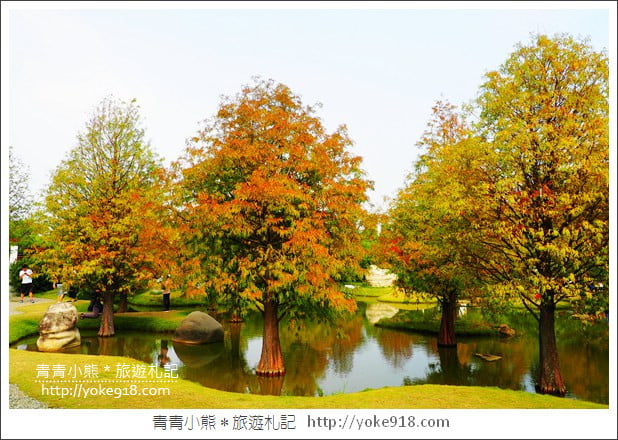 雲林落羽松景點》虎尾青埔落羽松.水池小山丘~小而美的園區好好拍 @青青小熊*旅遊札記 雲林落羽松景點》虎尾青埔落羽松.水池小山丘~小而美的園區好好拍 @青青小熊*旅遊札記