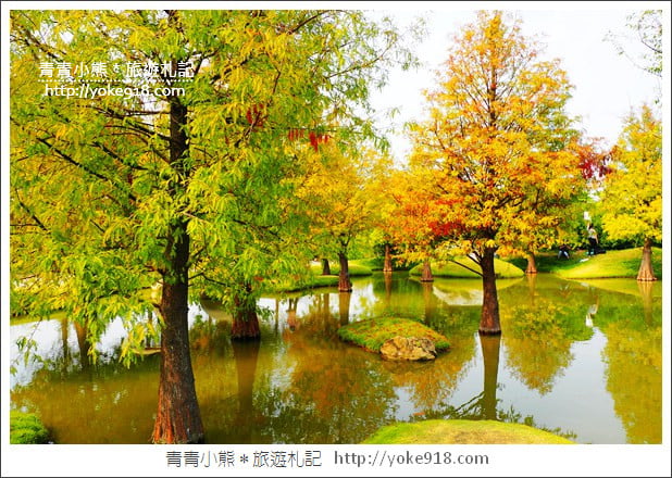 雲林落羽松景點》虎尾青埔落羽松.水池小山丘~小而美的園區好好拍 @青青小熊*旅遊札記 雲林落羽松景點》虎尾青埔落羽松.水池小山丘~小而美的園區好好拍 @青青小熊*旅遊札記