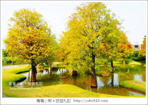 雲林落羽松景點》虎尾青埔落羽松.水池小山丘~小而美的園區好好拍 @青青小熊*旅遊札記 雲林落羽松景點》虎尾青埔落羽松.水池小山丘~小而美的園區好好拍 @青青小熊*旅遊札記