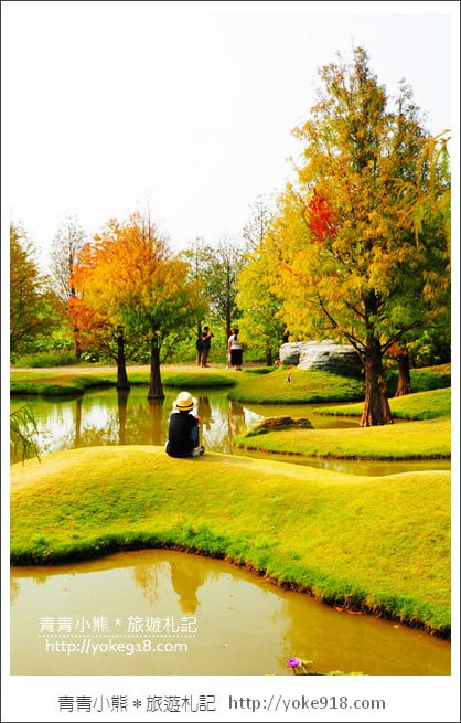 雲林落羽松景點》虎尾青埔落羽松.水池小山丘~小而美的園區好好拍 @青青小熊*旅遊札記 雲林落羽松景點》虎尾青埔落羽松.水池小山丘~小而美的園區好好拍 @青青小熊*旅遊札記