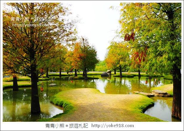 雲林落羽松景點》虎尾青埔落羽松．水池小山丘~小而美的園區好好拍 @青青小熊＊旅遊札記