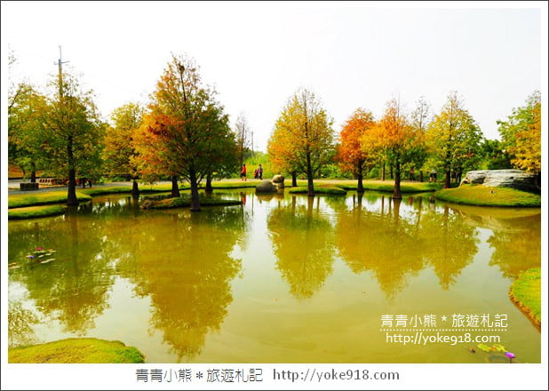 雲林落羽松景點》虎尾青埔落羽松.水池小山丘~小而美的園區好好拍 @青青小熊*旅遊札記 雲林落羽松景點》虎尾青埔落羽松.水池小山丘~小而美的園區好好拍 @青青小熊*旅遊札記