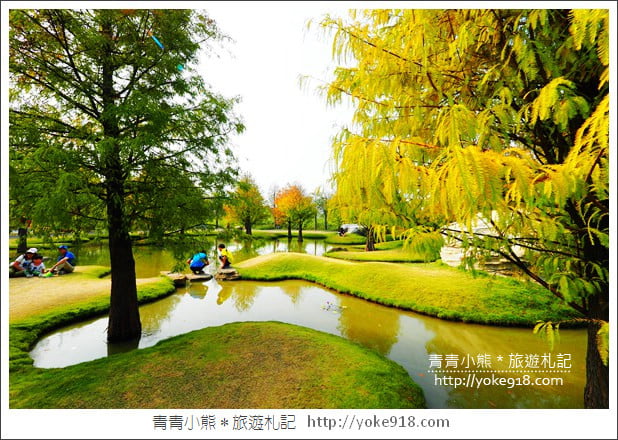 雲林落羽松景點》虎尾青埔落羽松．水池小山丘~小而美的園區好好拍 @青青小熊＊旅遊札記