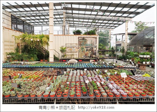 彰化田尾景點》綠果庭院.乾燥花鄉村風打卡點~多肉植物控必逛 @青青小熊*旅遊札記 彰化田尾景點》綠果庭院.乾燥花鄉村風打卡點~多肉植物控必逛 @青青小熊*旅遊札記