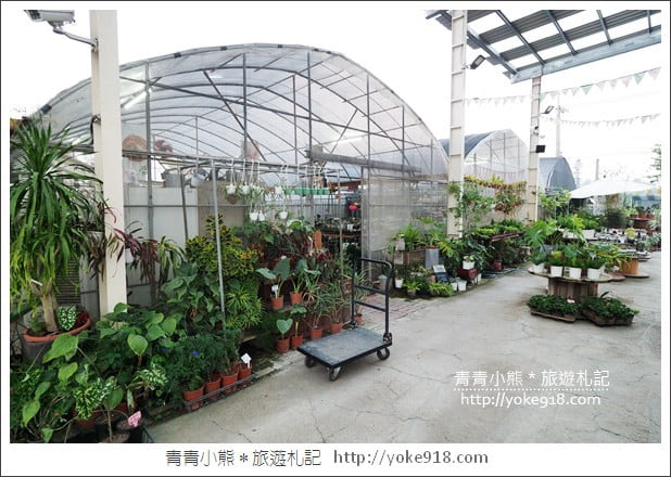 彰化田尾景點》綠果庭院.乾燥花鄉村風打卡點~多肉植物控必逛 @青青小熊*旅遊札記 彰化田尾景點》綠果庭院.乾燥花鄉村風打卡點~多肉植物控必逛 @青青小熊*旅遊札記