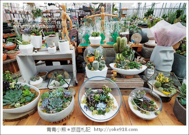 彰化田尾景點》綠果庭院．乾燥花鄉村風打卡點~多肉植物控必逛 @青青小熊＊旅遊札記