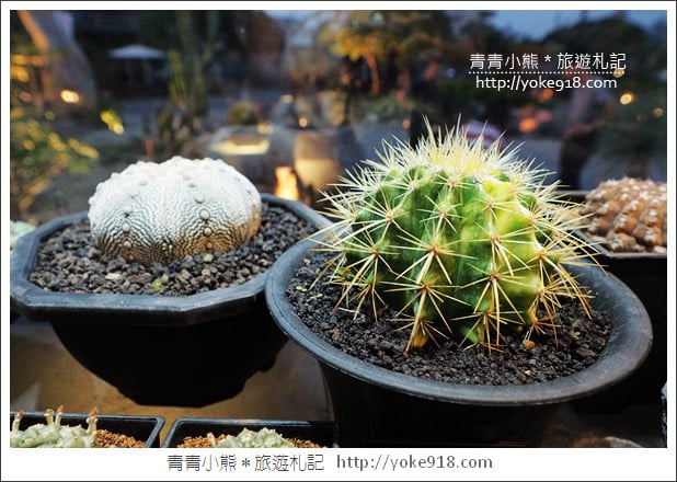 彰化景點》酉Succulent & Artwork．田尾打卡點~雲朵玻璃屋好唯美 @青青小熊＊旅遊札記