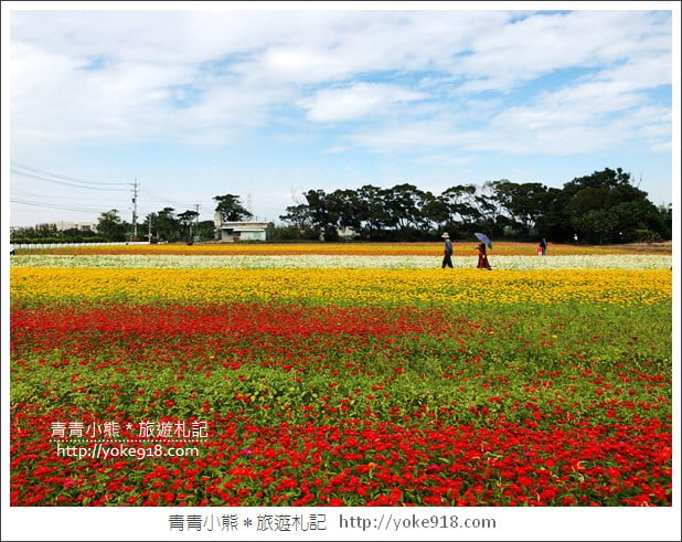 桃園景點》楊梅仙草花節~紫色仙草花田.一起漫步在浪漫的紫色花海中 @青青小熊*旅遊札記 桃園景點》楊梅仙草花節~紫色仙草花田.一起漫步在浪漫的紫色花海中 @青青小熊*旅遊札記