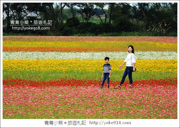 桃園景點》楊梅仙草花節~紫色仙草花田．一起漫步在浪漫的紫色花海中 @青青小熊＊旅遊札記