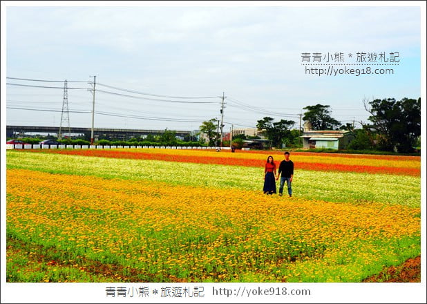 桃園景點》楊梅仙草花節~紫色仙草花田.一起漫步在浪漫的紫色花海中 @青青小熊*旅遊札記 桃園景點》楊梅仙草花節~紫色仙草花田.一起漫步在浪漫的紫色花海中 @青青小熊*旅遊札記