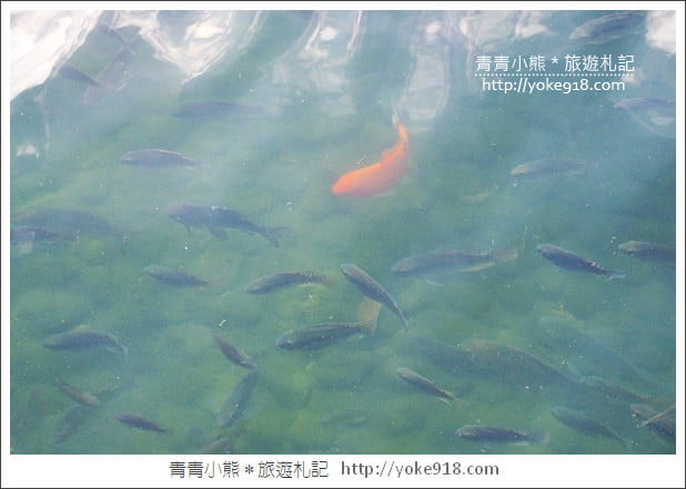 台北景點》新莊中港大排彩繪.積木水上步道,3D立體彩繪~親子同遊好去處 @青青小熊*旅遊札記 台北景點》新莊中港大排彩繪.積木水上步道,3D立體彩繪~親子同遊好去處 @青青小熊*旅遊札記