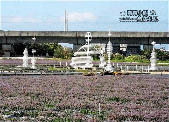 桃園景點》楊梅仙草花節~紫色仙草花田.一起漫步在浪漫的紫色花海中 @青青小熊*旅遊札記 桃園景點》楊梅仙草花節~紫色仙草花田.一起漫步在浪漫的紫色花海中 @青青小熊*旅遊札記