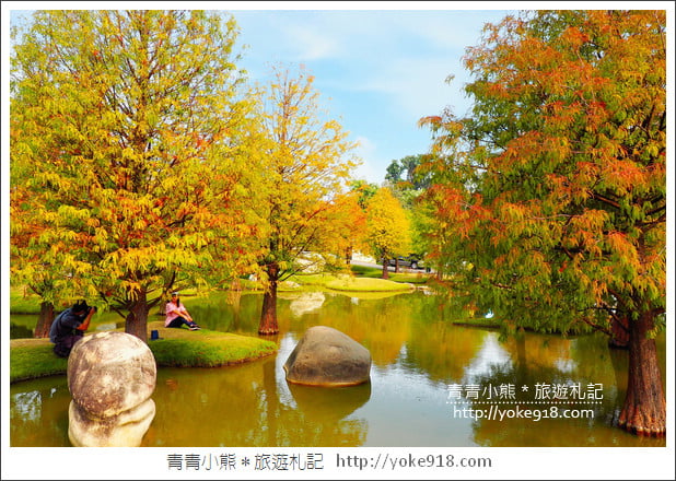 雲林落羽松景點》虎尾青埔落羽松．水池小山丘~小而美的園區好好拍 @青青小熊＊旅遊札記