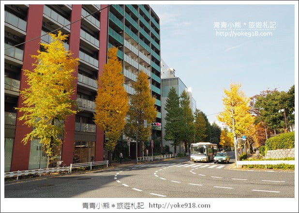 東京澀谷景點》青之洞窟．代代木公園藍色燈海~冬季限定必賞 @青青小熊＊旅遊札記