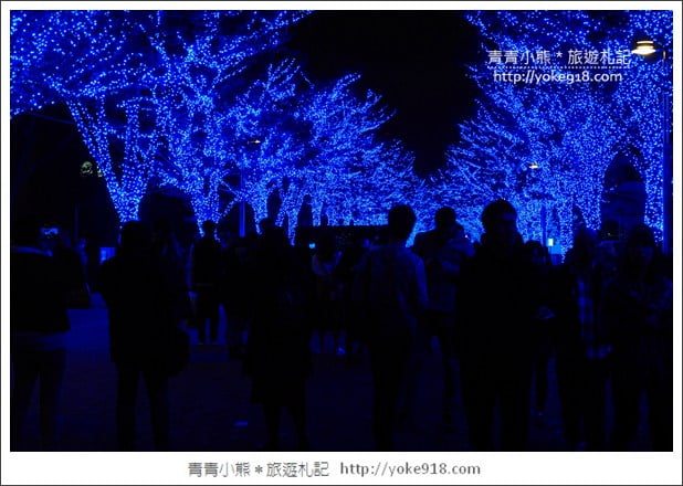 東京賞楓推薦》東京賞楓葉、賞銀杏、燈飾必去景點.從早玩到晚行程推薦 @青青小熊*旅遊札記 東京賞楓推薦》東京賞楓葉、賞銀杏、燈飾必去景點.從早玩到晚行程推薦 @青青小熊*旅遊札記