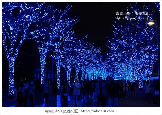 東京澀谷景點》青之洞窟．代代木公園藍色燈海~冬季限定必賞 @青青小熊＊旅遊札記