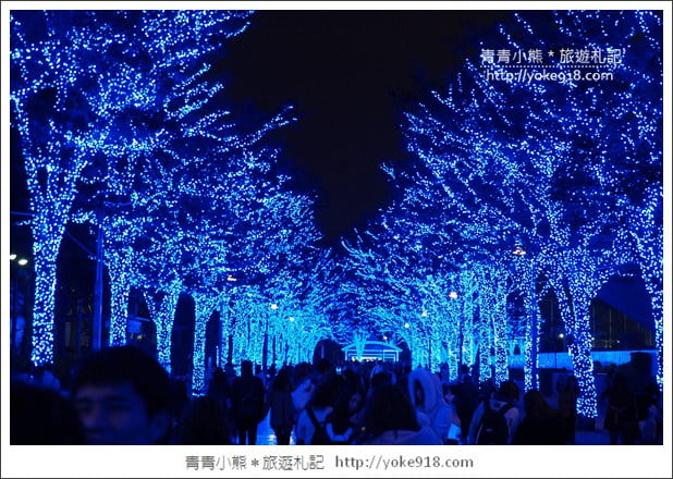 東京澀谷景點》青之洞窟.代代木公園藍色燈海~冬季限定必賞 @青青小熊*旅遊札記 東京澀谷景點》青之洞窟.代代木公園藍色燈海~冬季限定必賞 @青青小熊*旅遊札記