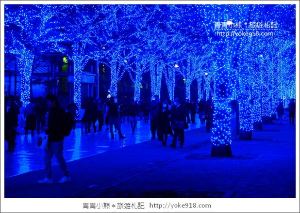 東京澀谷景點》青之洞窟.代代木公園藍色燈海~冬季限定必賞 @青青小熊*旅遊札記 東京澀谷景點》青之洞窟.代代木公園藍色燈海~冬季限定必賞 @青青小熊*旅遊札記