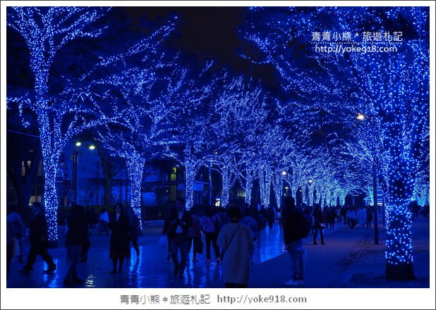 東京澀谷景點》青之洞窟．代代木公園藍色燈海~冬季限定必賞 @青青小熊＊旅遊札記