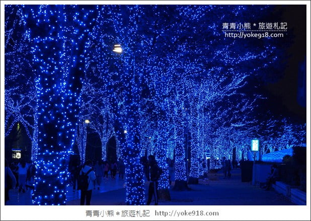 東京澀谷景點》青之洞窟.代代木公園藍色燈海~冬季限定必賞 @青青小熊*旅遊札記 東京澀谷景點》青之洞窟.代代木公園藍色燈海~冬季限定必賞 @青青小熊*旅遊札記