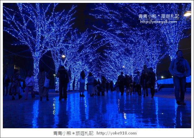東京澀谷景點》青之洞窟.代代木公園藍色燈海~冬季限定必賞 @青青小熊*旅遊札記 東京澀谷景點》青之洞窟.代代木公園藍色燈海~冬季限定必賞 @青青小熊*旅遊札記