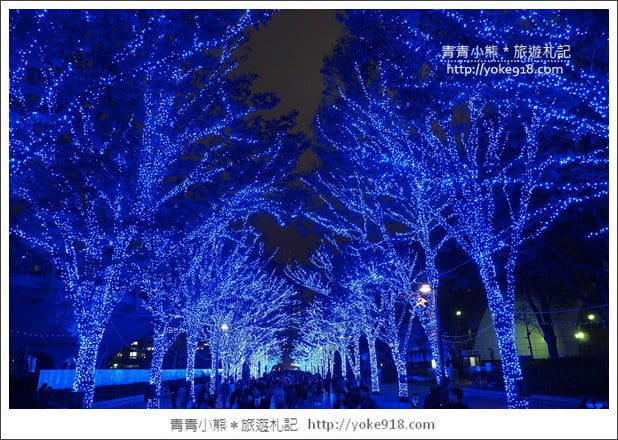 東京澀谷景點》青之洞窟.代代木公園藍色燈海~冬季限定必賞 @青青小熊*旅遊札記 東京澀谷景點》青之洞窟.代代木公園藍色燈海~冬季限定必賞 @青青小熊*旅遊札記