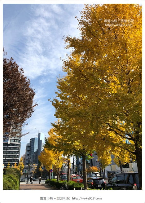 東京澀谷景點》青之洞窟.代代木公園藍色燈海~冬季限定必賞 @青青小熊*旅遊札記 東京澀谷景點》青之洞窟.代代木公園藍色燈海~冬季限定必賞 @青青小熊*旅遊札記