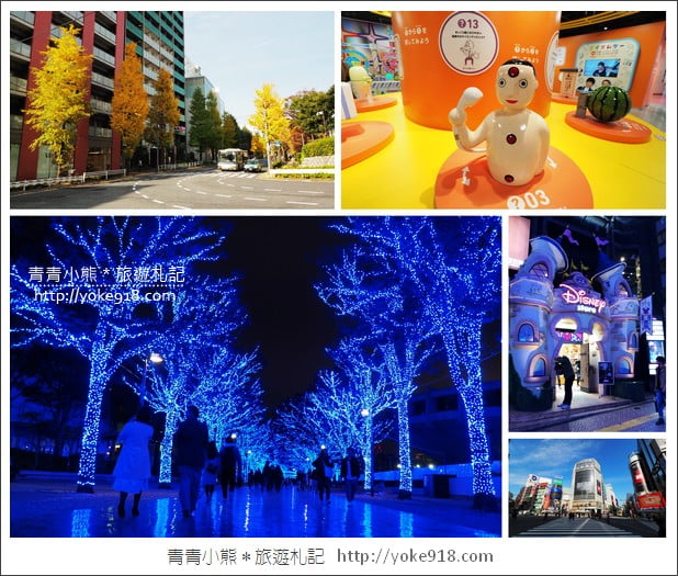 東京澀谷景點》青之洞窟.代代木公園藍色燈海~冬季限定必賞 @青青小熊*旅遊札記 東京澀谷景點》青之洞窟.代代木公園藍色燈海~冬季限定必賞 @青青小熊*旅遊札記