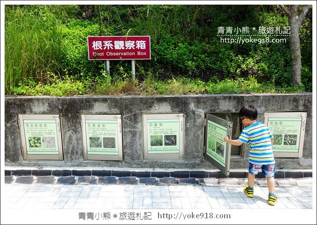 台南景點》龍崎夢幻湖.牛埔泥岩水土保持教學園區~親子同遊景點 @青青小熊*旅遊札記 台南景點》龍崎夢幻湖.牛埔泥岩水土保持教學園區~親子同遊景點 @青青小熊*旅遊札記