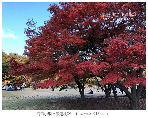 東京親子自由行推薦》ecbo cloak 寄放行李讓你空手逛街好方便&新宿、澀谷、上野必逛行程 @青青小熊*旅遊札記 東京親子自由行推薦》ecbo cloak 寄放行李讓你空手逛街好方便&新宿、澀谷、上野必逛行程 @青青小熊*旅遊札記