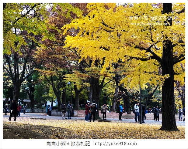 東京親子自由行推薦》ecbo cloak 寄放行李讓你空手逛街好方便&新宿、澀谷、上野必逛行程 @青青小熊*旅遊札記 東京親子自由行推薦》ecbo cloak 寄放行李讓你空手逛街好方便&新宿、澀谷、上野必逛行程 @青青小熊*旅遊札記