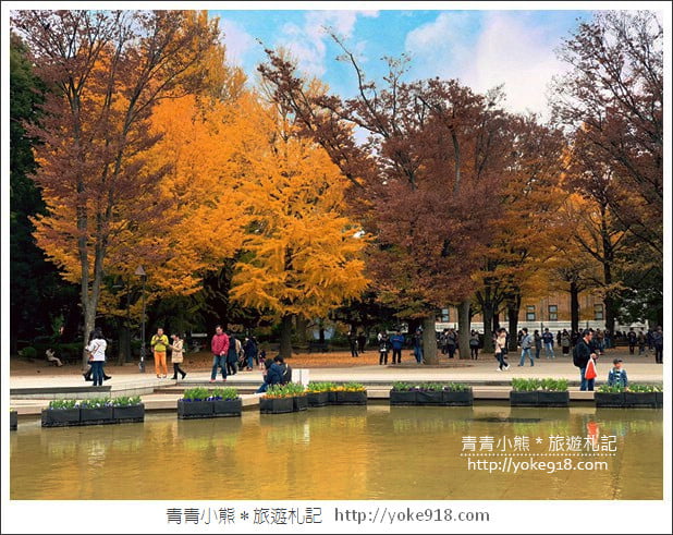 東京親子自由行推薦》ecbo cloak 寄放行李讓你空手逛街好方便&新宿、澀谷、上野必逛行程 @青青小熊*旅遊札記 東京親子自由行推薦》ecbo cloak 寄放行李讓你空手逛街好方便&新宿、澀谷、上野必逛行程 @青青小熊*旅遊札記