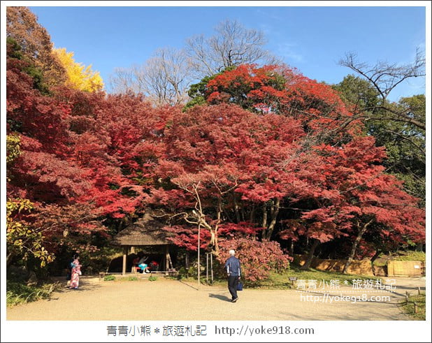 東京親子自由行推薦》ecbo cloak 寄放行李讓你空手逛街好方便&新宿、澀谷、上野必逛行程 @青青小熊*旅遊札記 東京親子自由行推薦》ecbo cloak 寄放行李讓你空手逛街好方便&新宿、澀谷、上野必逛行程 @青青小熊*旅遊札記
