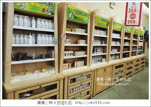 桃園景點》楊梅雅聞魅力博覽館．北部最美的玫瑰花園還有浪漫的落羽松 @青青小熊＊旅遊札記