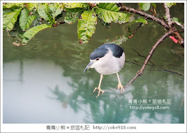 宜蘭景點》礁溪龍潭湖畔悠活園區.白色貨櫃打造的最夯打卡點 @青青小熊*旅遊札記 宜蘭景點》礁溪龍潭湖畔悠活園區.白色貨櫃打造的最夯打卡點 @青青小熊*旅遊札記