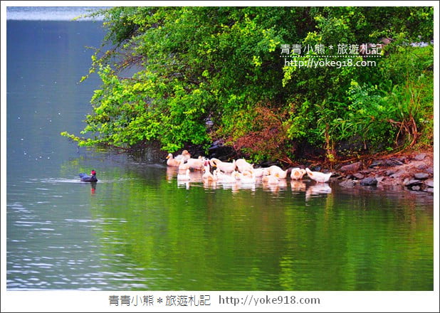 宜蘭景點》礁溪龍潭湖畔悠活園區.白色貨櫃打造的最夯打卡點 @青青小熊*旅遊札記 宜蘭景點》礁溪龍潭湖畔悠活園區.白色貨櫃打造的最夯打卡點 @青青小熊*旅遊札記