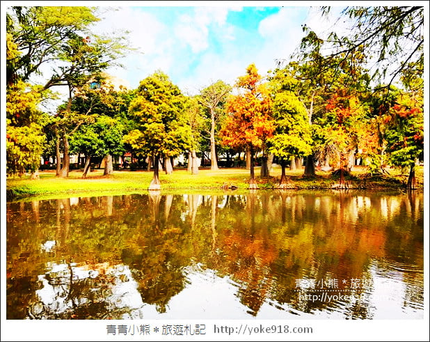 台南景點》巴克禮公園．台南市區秋冬最美的落羽松公園 @青青小熊＊旅遊札記