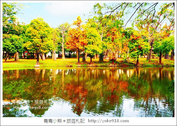 台南景點》巴克禮公園.台南市區秋冬最美的落羽松公園 @青青小熊*旅遊札記 台南景點》巴克禮公園.台南市區秋冬最美的落羽松公園 @青青小熊*旅遊札記