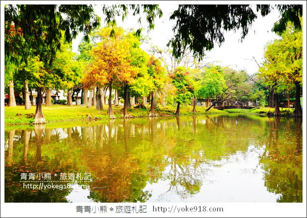 台南景點》巴克禮公園.台南市區秋冬最美的落羽松公園 @青青小熊*旅遊札記 台南景點》巴克禮公園.台南市區秋冬最美的落羽松公園 @青青小熊*旅遊札記