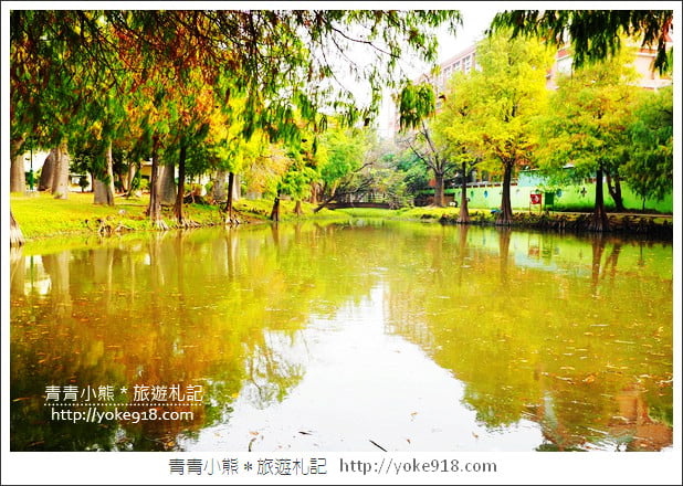 台南景點》巴克禮公園.台南市區秋冬最美的落羽松公園 @青青小熊*旅遊札記 台南景點》巴克禮公園.台南市區秋冬最美的落羽松公園 @青青小熊*旅遊札記