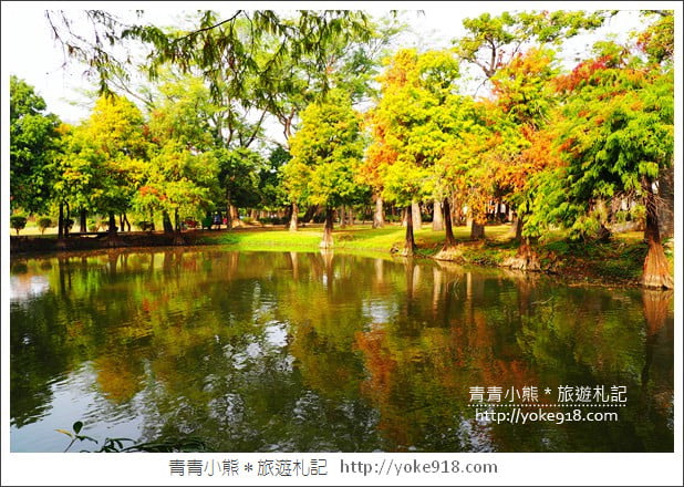 台南景點》巴克禮公園．台南市區秋冬最美的落羽松公園 @青青小熊＊旅遊札記