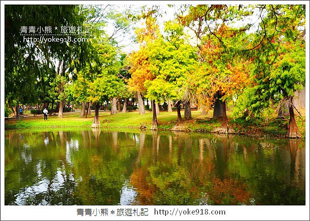 台南景點》巴克禮公園.台南市區秋冬最美的落羽松公園 @青青小熊*旅遊札記 台南景點》巴克禮公園.台南市區秋冬最美的落羽松公園 @青青小熊*旅遊札記