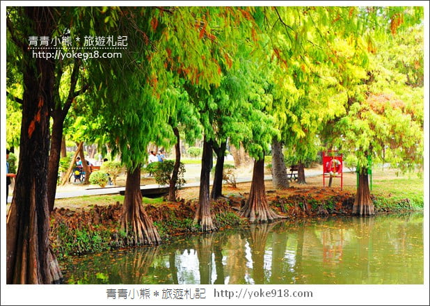 台南景點》巴克禮公園.台南市區秋冬最美的落羽松公園 @青青小熊*旅遊札記 台南景點》巴克禮公園.台南市區秋冬最美的落羽松公園 @青青小熊*旅遊札記