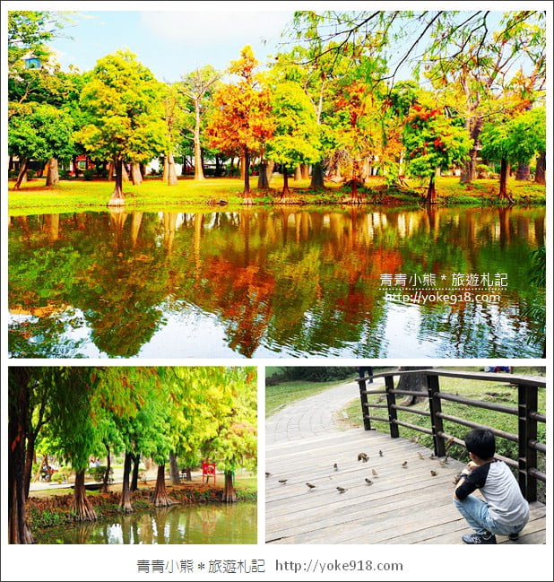 台南景點》巴克禮公園.台南市區秋冬最美的落羽松公園 @青青小熊*旅遊札記 台南景點》巴克禮公園.台南市區秋冬最美的落羽松公園 @青青小熊*旅遊札記
