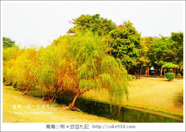台南景點》巴克禮公園.台南市區秋冬最美的落羽松公園 @青青小熊*旅遊札記 台南景點》巴克禮公園.台南市區秋冬最美的落羽松公園 @青青小熊*旅遊札記