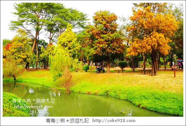 台南景點》巴克禮公園.台南市區秋冬最美的落羽松公園 @青青小熊*旅遊札記 台南景點》巴克禮公園.台南市區秋冬最美的落羽松公園 @青青小熊*旅遊札記