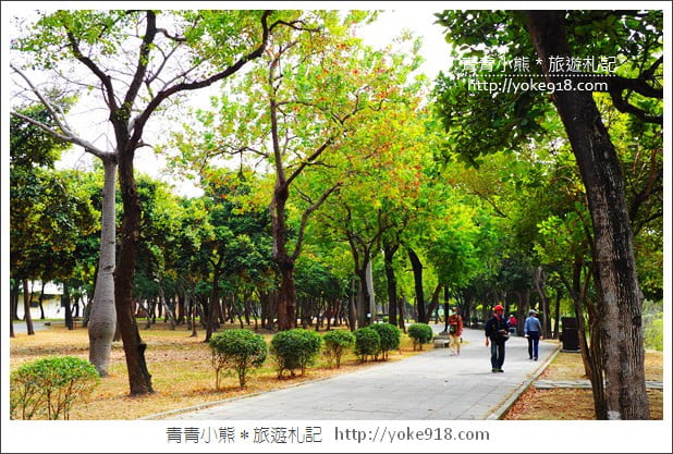 台南景點》巴克禮公園.台南市區秋冬最美的落羽松公園 @青青小熊*旅遊札記 台南景點》巴克禮公園.台南市區秋冬最美的落羽松公園 @青青小熊*旅遊札記