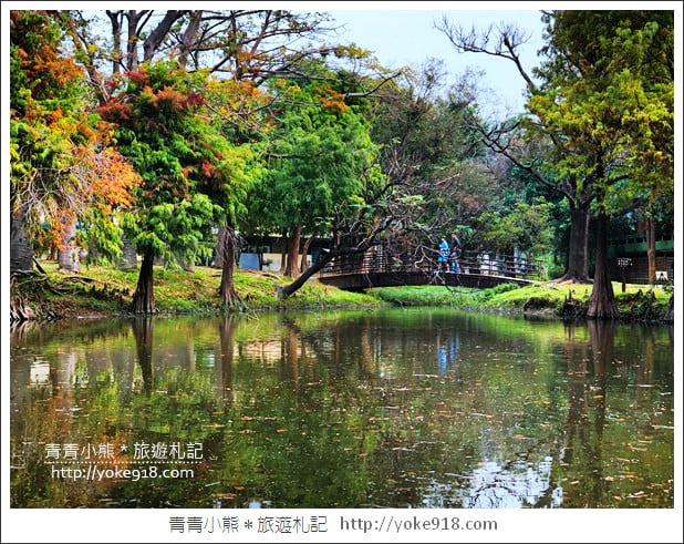 台南景點》巴克禮公園.台南市區秋冬最美的落羽松公園 @青青小熊*旅遊札記 台南景點》巴克禮公園.台南市區秋冬最美的落羽松公園 @青青小熊*旅遊札記