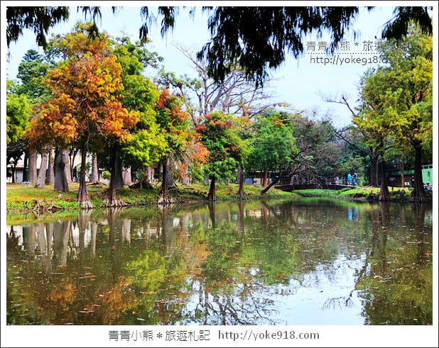台南景點》巴克禮公園．台南市區秋冬最美的落羽松公園 @青青小熊＊旅遊札記
